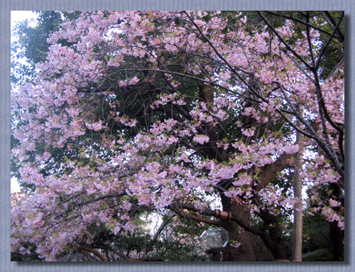 c0044897_0211321.jpg