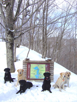 f0001698_3234682.jpg