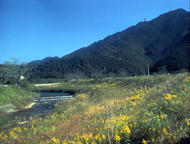 a0050405_862164.jpg