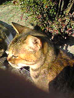 c0103205_10465882.jpg
