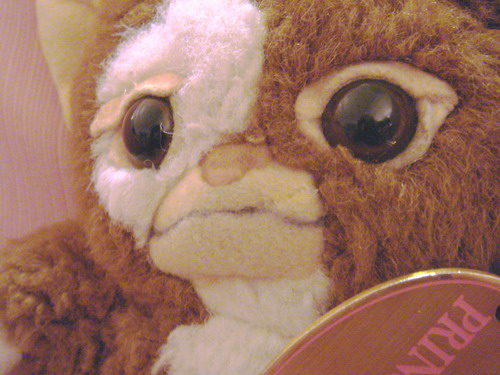 f0100505_1323524.jpg
