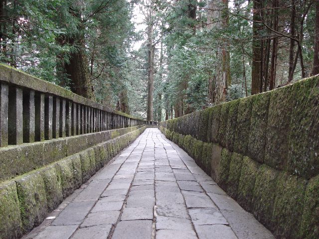 f0084806_6531144.jpg
