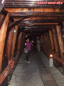 d0078311_2359713.jpg