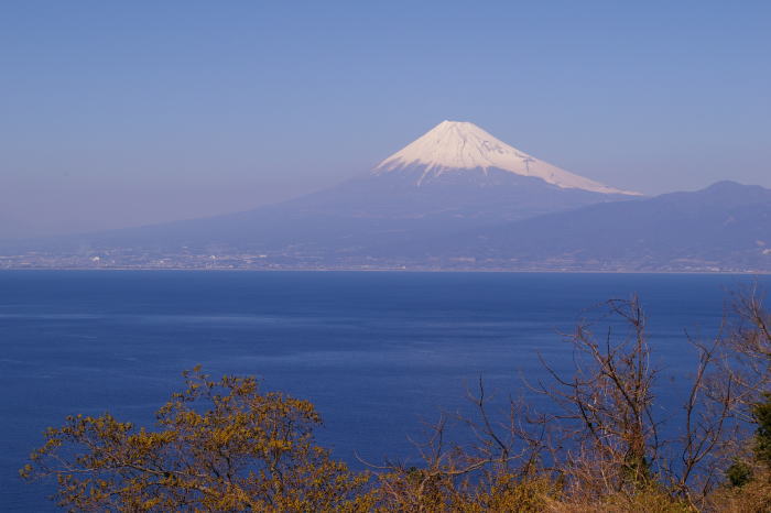 d0006718_17525051.jpg