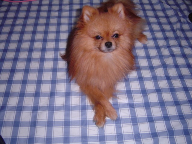 f0012924_5514618.jpg