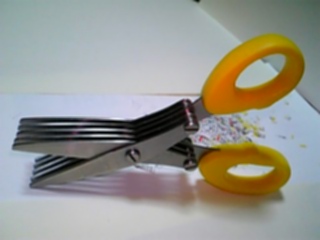 c0056237_093475.jpg