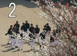 f0080837_19493836.gif