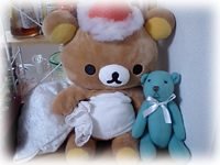 d0048140_3463533.jpg
