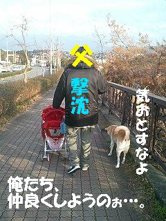 a0090451_22145451.jpg
