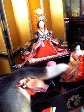 b0005652_15401122.gif