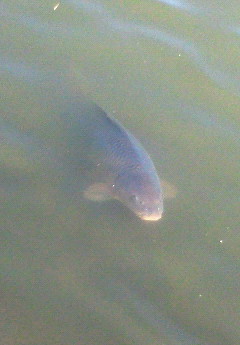 e0020655_022844.jpg