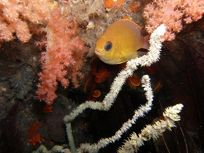 a0079659_8104745.jpg