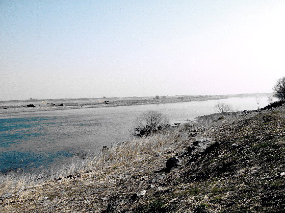 f0084561_11422519.jpg