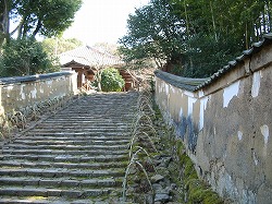 e0041168_10152393.jpg