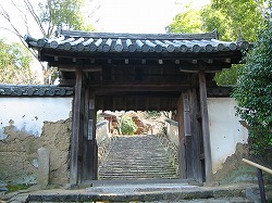e0041168_1016396.jpg