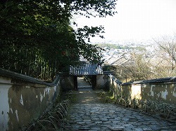 e0041168_10174781.jpg