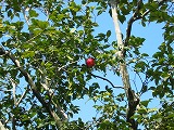 e0041168_10192813.jpg