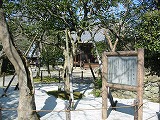 e0041168_1019923.jpg