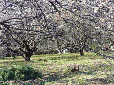 f0086169_19332544.jpg