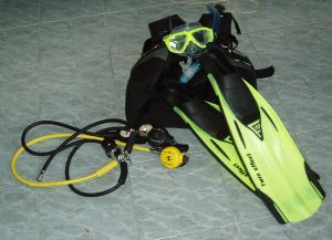 c0039073_10364357.jpg