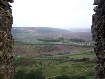 d0062274_1529289.jpg