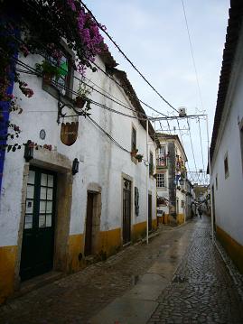 d0062274_1531935.jpg