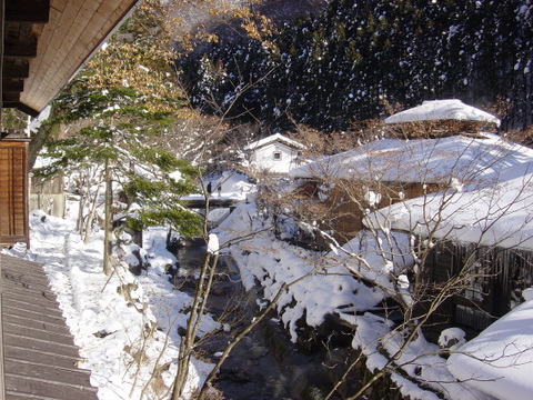 f0008679_62557.jpg
