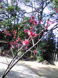 c0085380_22443815.jpg