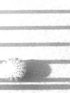 f0100480_10511947.jpg