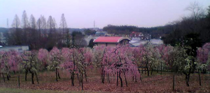 e0060483_18245298.jpg