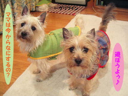 e0066883_2010214.jpg
