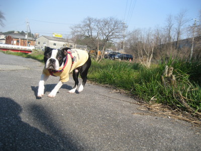 c0092787_10524745.jpg