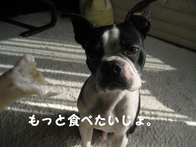 c0092787_10584649.jpg