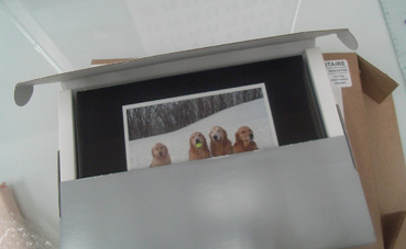 c0096393_22471596.jpg