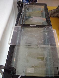 f0081594_1017268.jpg