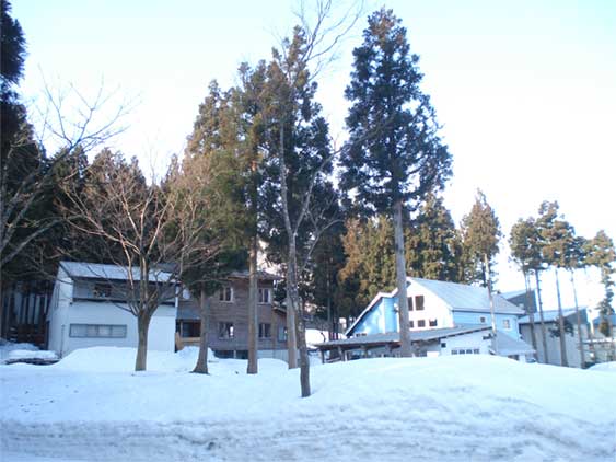 a0061599_7582738.jpg