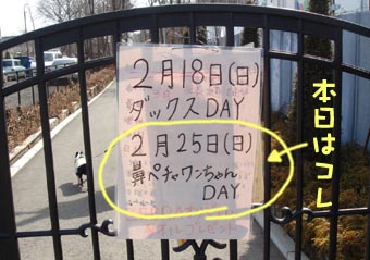 c0094999_323155.jpg