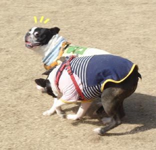 c0094999_4335859.jpg