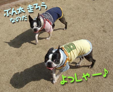 c0094999_5571440.jpg