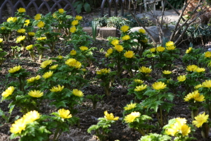 e0029307_21142883.jpg