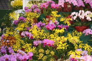 e0029307_2115598.jpg