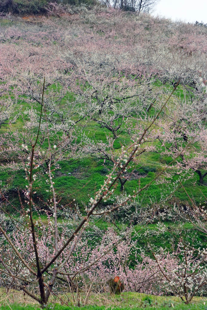 d0085715_23592579.jpg