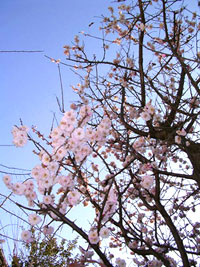 f0036716_17274294.jpg