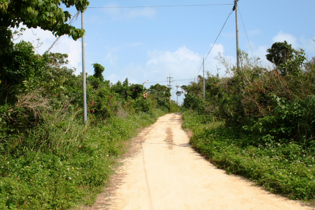 d0027320_2305913.jpg