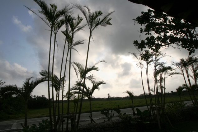 d0027320_2321162.jpg