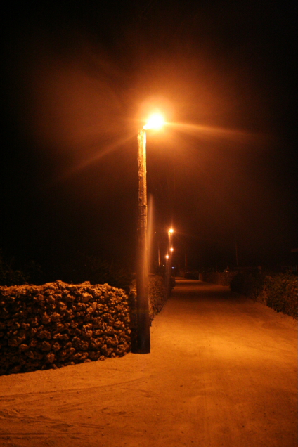 d0027320_23254573.jpg