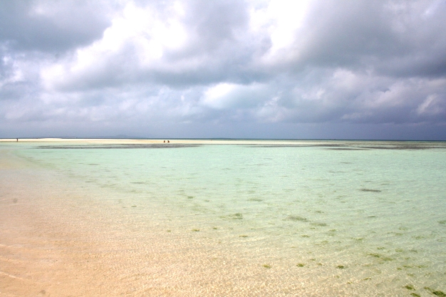 d0027320_234343.jpg