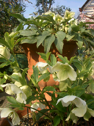 c0086221_18425289.jpg