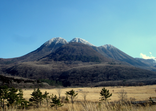e0032029_833756.jpg