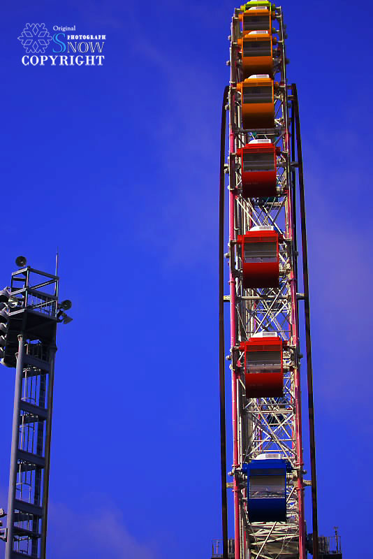 f0005935_23485140.jpg